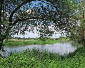 naturpark westhavelland wald wiesen fluss havel