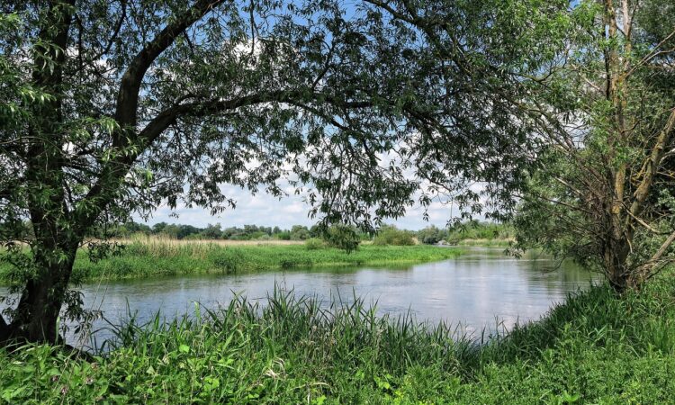 naturpark westhavelland wald wiesen fluss havel